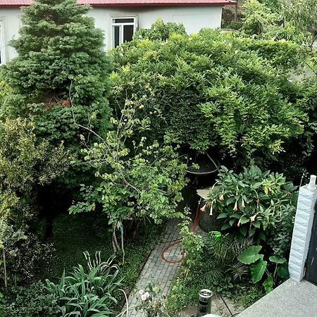 Tj Guest House Makhinjauri Exterior foto